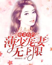 薄少宠妻无上限